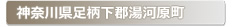 �_�ސ쌧�������S���͌���:�Ƃ̌��ւ̌��̕����A���J���E�����E�C���Ȃǌ��̃g���u���ً}�E�~�}�T�[�r�X�̑Ή��G���A